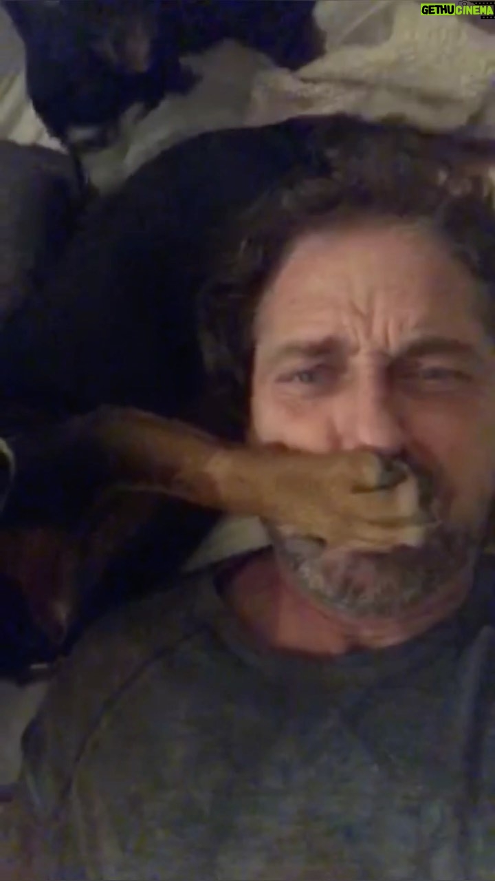 Gerard Butler - 150.6K Likes - I’ve heard it's important to take some time for yourself once in a while. Now who's gonna tell these guys that? 🤣