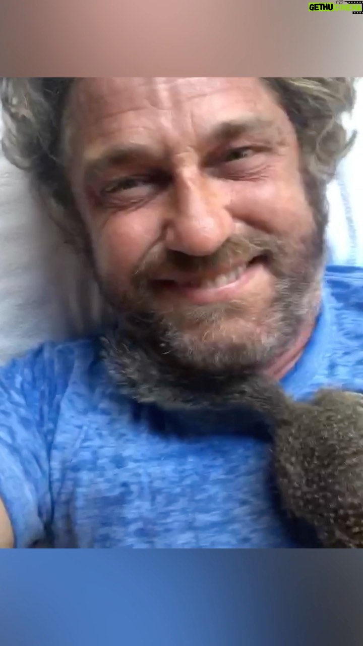 Gerard Butler - 125.9K Likes -