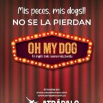 Gerly Hassam Instagram - Seguimos! Oh my dog miércoles 8 pm en @casaeborrero boletería en el link de la bio y en @atrapalocol 😎