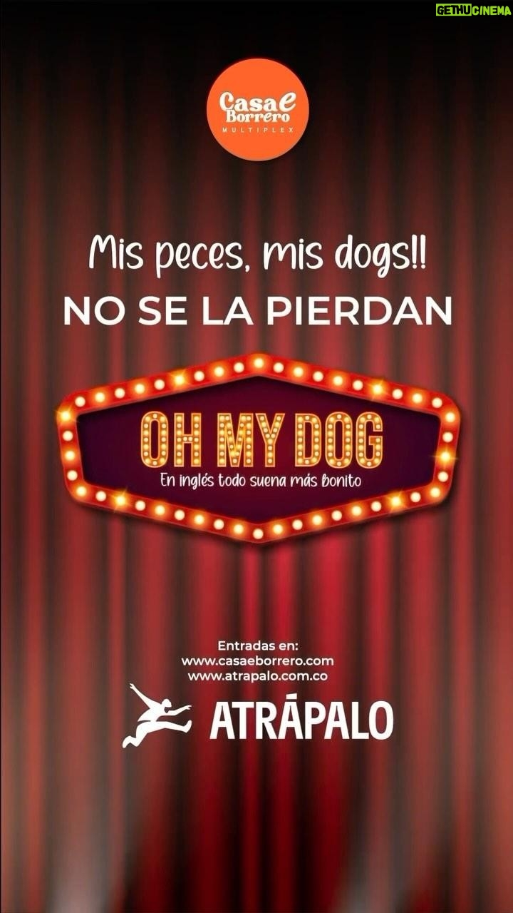 Gerly Hassam Instagram - Seguimos! Oh my dog miércoles 8 pm en @casaeborrero boletería en el link de la bio y en @atrapalocol 😎