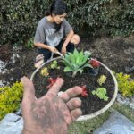 Gerly Hassam Instagram - Todo empezó con un: deberíamos plantar una matica en el jardín del frente. 🤗🤗🤗🤗🥰🥰🥰🥰🥰🥰🥰🥰🥰🥰🥰🥰 Mary y Tutty hasta jardineras salieron estas chinas. Que buen sábado. Cota, Cundinamarca