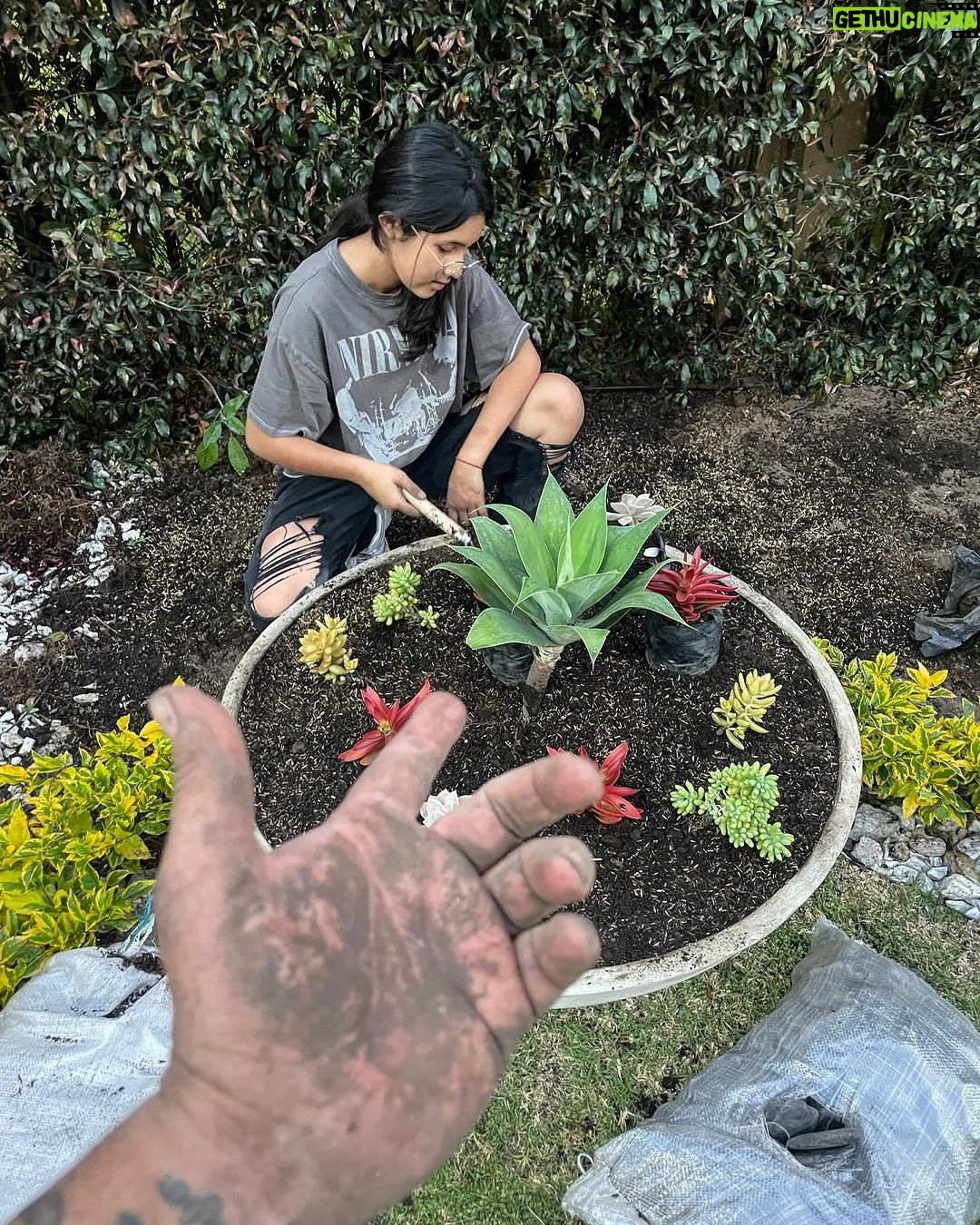 Gerly Hassam Instagram - Todo empezó con un: deberíamos plantar una matica en el jardín del frente. 🤗🤗🤗🤗🥰🥰🥰🥰🥰🥰🥰🥰🥰🥰🥰🥰 Mary y Tutty hasta jardineras salieron estas chinas. Que buen sábado. Cota, Cundinamarca