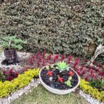 Gerly Hassam Instagram - Todo empezó con un: deberíamos plantar una matica en el jardín del frente. 🤗🤗🤗🤗🥰🥰🥰🥰🥰🥰🥰🥰🥰🥰🥰🥰 Mary y Tutty hasta jardineras salieron estas chinas. Que buen sábado. Cota, Cundinamarca