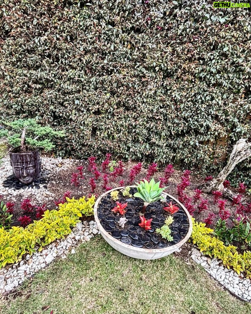 Gerly Hassam Instagram - Todo empezó con un: deberíamos plantar una matica en el jardín del frente. 🤗🤗🤗🤗🥰🥰🥰🥰🥰🥰🥰🥰🥰🥰🥰🥰 Mary y Tutty hasta jardineras salieron estas chinas. Que buen sábado. Cota, Cundinamarca