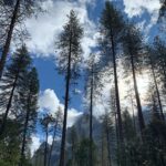 Giacomo Gianniotti Instagram - So um, yeah. Would definitely recommend. #yosemite #embracetheelements @nobis Yosemite National Park