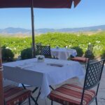 Giacomo Gianniotti Instagram – Toscana Photo Dump – 🌳🌳🌳

Grazie @fonteverde . You are the winner of the most “dog friendly” hotel we have ever stayed at. We will be back! Especially Jazz 🐶 😍 🇮🇹 Fonteverde