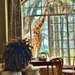 Gims Instagram - 🦒