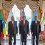 Giorgia Meloni Instagram - A testimonianza di un rinnovato slancio impresso ai rapporti tra l'Italia e le Nazioni del Corno d'Africa, ho avuto un incontro oggi a Roma - in occasione del Vertice sui Sistemi Alimentari - con il Primo Ministro etiope Abiy Ahmed Ali, il Presidente somalo Hassan Sheikh Mohamud, il Primo Ministro di Gibuti Abdoulkader Kamil Mohamed e il Vice Presidente del Kenya Rigathi Gachagua