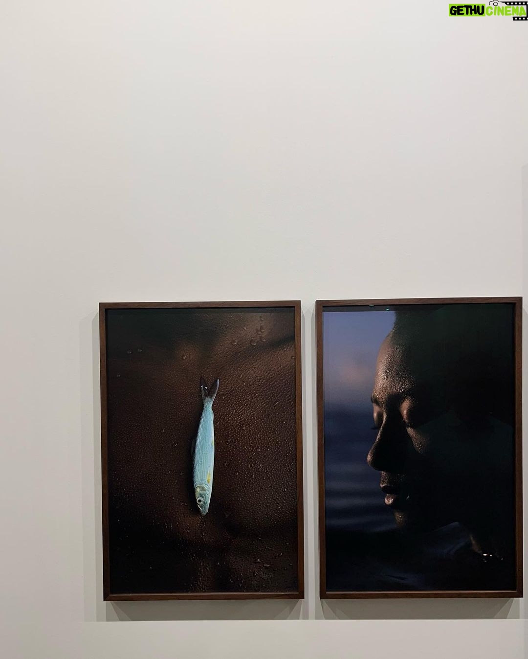 Giovanna Grigio Instagram - SP ARTE .hoje. 🤍 Ibirapuera