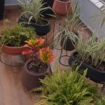 Giovanna Grigio Instagram - Agora sou mãe de planta 🌱 aqui pra nossa casa escolhemos todos os vasos na @vasapdesign desde os miudinhos, até esses grandões onde plantamos jabuticabeiras no nosso jardim! E além da beleza, o grande diferencial foi saber que todas essas peças são feitas de plástico 100% reciclado! Agora a única coisa que falta é eu aprender a cuidar das minhas filhas 🌿🌵🪴porque com as casinhas delas eu não tenho mais que me preocupar! Vasos: @vasapdesign Gestão de Projetos: @jackiebritto @modacom__ Projeto: @steinruiz Reforma: @2rconstrucaoereforma