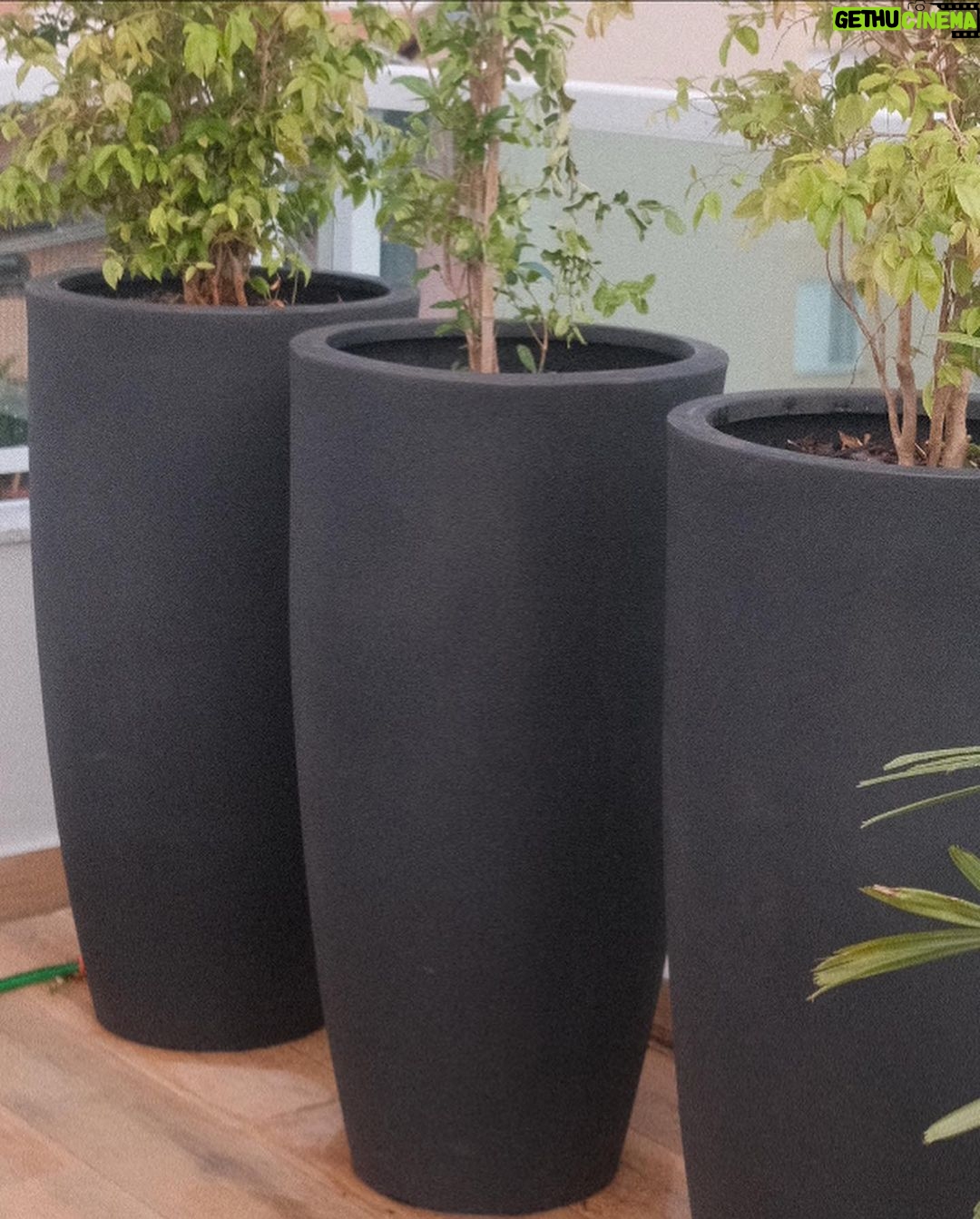Giovanna Grigio Instagram - Agora sou mãe de planta 🌱 aqui pra nossa casa escolhemos todos os vasos na @vasapdesign desde os miudinhos, até esses grandões onde plantamos jabuticabeiras no nosso jardim! E além da beleza, o grande diferencial foi saber que todas essas peças são feitas de plástico 100% reciclado! Agora a única coisa que falta é eu aprender a cuidar das minhas filhas 🌿🌵🪴porque com as casinhas delas eu não tenho mais que me preocupar! Vasos: @vasapdesign Gestão de Projetos: @jackiebritto @modacom__ Projeto: @steinruiz Reforma: @2rconstrucaoereforma