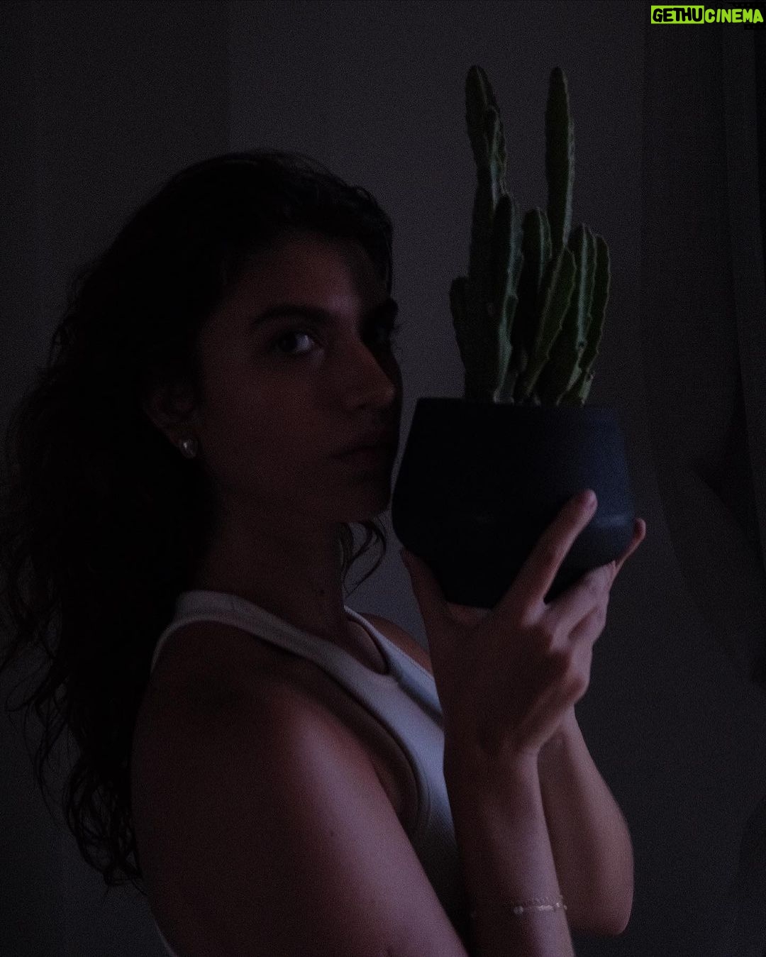 Giovanna Grigio Instagram - Agora sou mãe de planta 🌱 aqui pra nossa casa escolhemos todos os vasos na @vasapdesign desde os miudinhos, até esses grandões onde plantamos jabuticabeiras no nosso jardim! E além da beleza, o grande diferencial foi saber que todas essas peças são feitas de plástico 100% reciclado! Agora a única coisa que falta é eu aprender a cuidar das minhas filhas 🌿🌵🪴porque com as casinhas delas eu não tenho mais que me preocupar! Vasos: @vasapdesign Gestão de Projetos: @jackiebritto @modacom__ Projeto: @steinruiz Reforma: @2rconstrucaoereforma