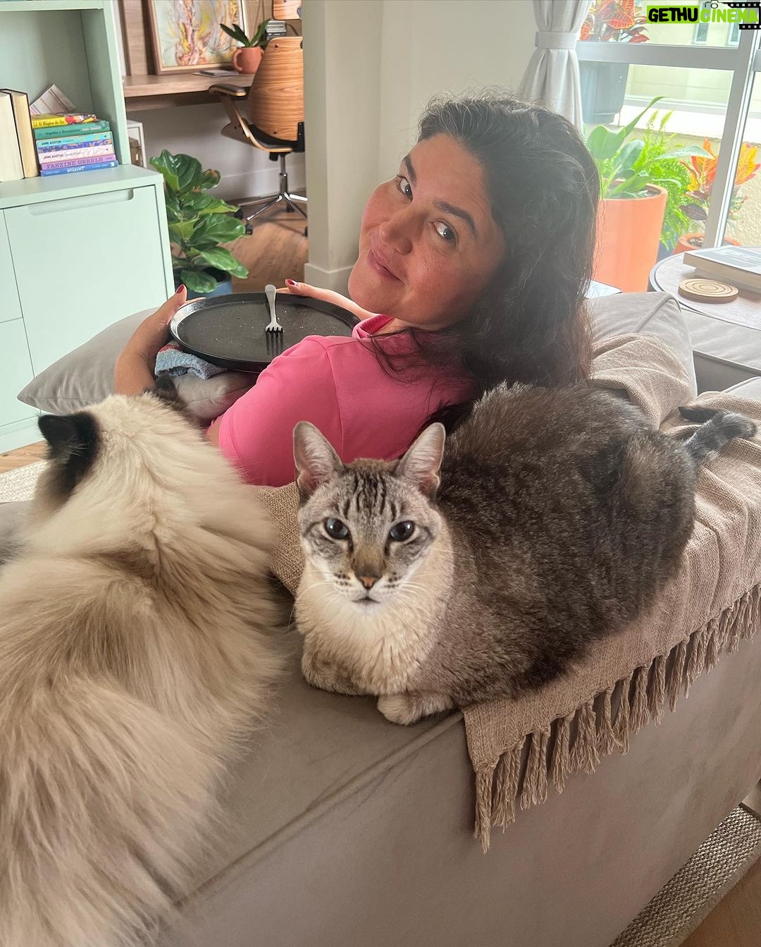 Giovanna Grigio Instagram - Numa casa de amantes de cinema e mães de gato, o sofá é o coração de tudo! Escolhemos o nosso na @dynamis.mga , e também aproveitamos e já selecionamos também essas banquetas lindas da cozinha, e as mesinhas de apoio da sala! A gente tá super feliz com os móveis, mas acho que os gatos estão mais do que a gente! Hahahahaha Sofá, mesinhas e banquetas: @dynamis.mga Gestão de Projetos: @jackiebritto @modacom__ Projeto: @steinruiz Reforma: @2rconstrucaoereforma Fotos: @brescianifotoarq