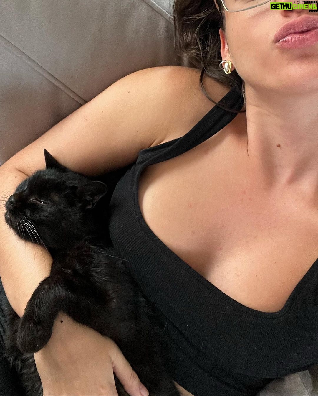 Giovanna Grigio Instagram - Numa casa de amantes de cinema e mães de gato, o sofá é o coração de tudo! Escolhemos o nosso na @dynamis.mga , e também aproveitamos e já selecionamos também essas banquetas lindas da cozinha, e as mesinhas de apoio da sala! A gente tá super feliz com os móveis, mas acho que os gatos estão mais do que a gente! Hahahahaha Sofá, mesinhas e banquetas: @dynamis.mga Gestão de Projetos: @jackiebritto @modacom__ Projeto: @steinruiz Reforma: @2rconstrucaoereforma Fotos: @brescianifotoarq