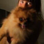 Giulia De Lellis Instagram – Al mio migliore amico per sempre, Tommaso 🧸 💔🫶🏻🐻🕊️

Buon viaggio mio amore grande!
Con il cuore rotto ti lascio andare consapevole del dono meraviglioso e prezioso che sei stato…

Non mi vengono le parole, proprio a me che non mancano mai… 
Oltre ad avermi portato via queste, mi porti via anche un pezzo di cuore