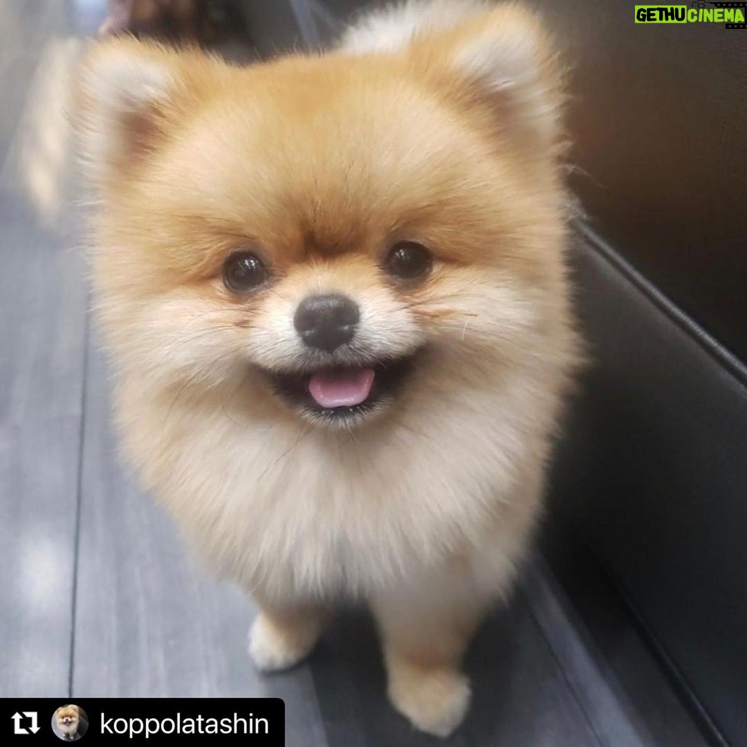 Googoosh Instagram - #Repost @koppolatashin Welcome to my Instagram page ❤️