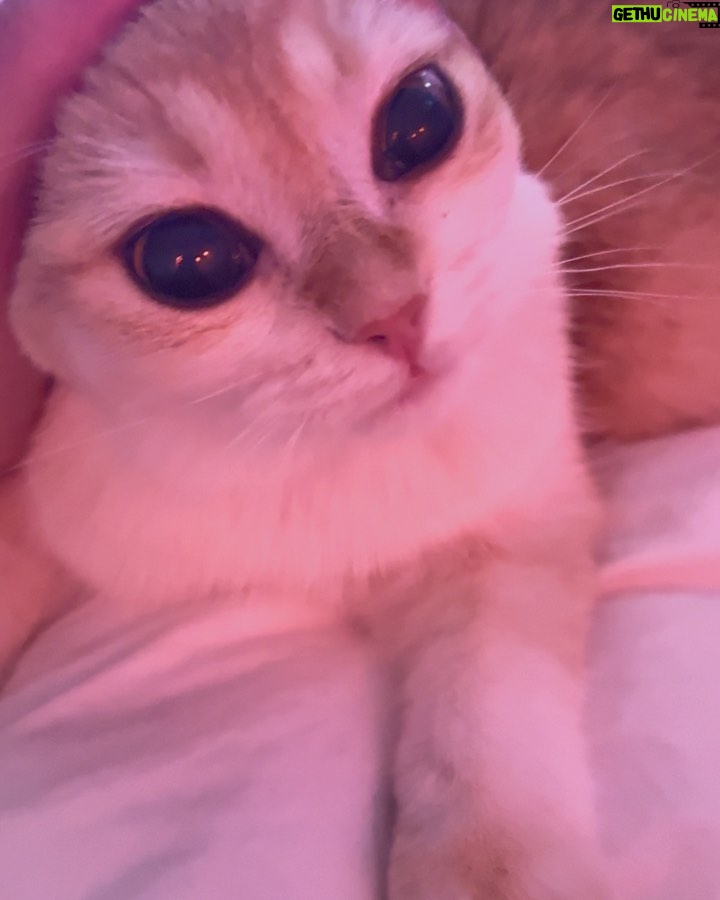 Grace VanderWaal Instagram - Cat eyez pretty