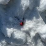 Greg Hsu Instagram - 最近like 活在片段裡