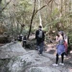 Greg Hsu Instagram – 山上混混

一段愛與芬多精的旅程

或許是山靈能讓壓抑的情緒暫時得到釋放

下了山 身體反而輕鬆了不少

心裡想著得來不易的平靜 

回頭看山慢慢變小的樣子 

我喜歡 

這種看山小的感覺

有種動靜皆宜的美感