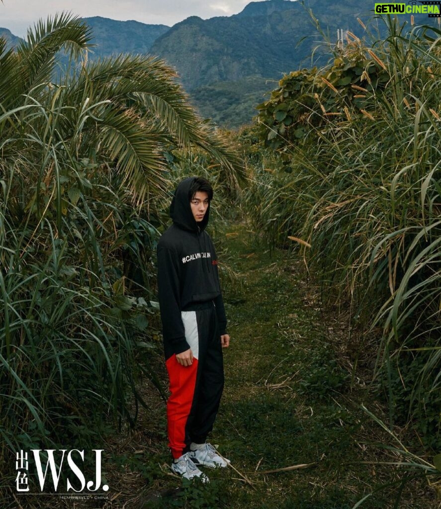 Greg Hsu Instagram - Thx #wsjmagazine