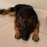 Griffin Johnson Instagram - happy birthday to my (big) baby Miami, Florida