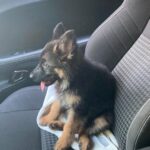 Griffin Johnson Instagram - swipe to see my baby grow up Los Angeles, California
