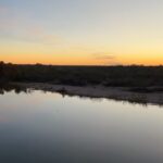 Griffin Johnson Instagram - Took a trip to Texas, to say it was successful is an understatement. There is nothing better than being outdoors surrounded by nature. Thank you Brock & Triple Play for helping me bring home some groceries.