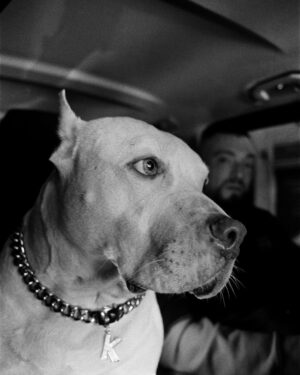 Guè Instagram - POWER OF THE DOG featuring Kendo @federico_hurth