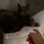 Gupse Özay Instagram - Yine birbirimize girdik günaydın...