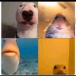 Gupse Özay Instagram - Çok özledim sizi....