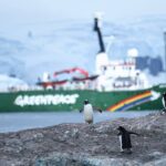Gustaf Skarsgård Instagram - Thank you @greenpeace for an unforgettable journey. So inspired by the nature and wildlife in the Antarctic and all the brilliant people onboard the Arctic Sunrise. Eager to learn more on how we can help protect this 🌎. We only have one. Photo cred: @nacimguellati