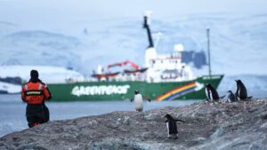 Gustaf Skarsgård Instagram - Thank you @greenpeace for an unforgettable journey. So inspired by the nature and wildlife in the Antarctic and all the brilliant people onboard the Arctic Sunrise. Eager to learn more on how we can help protect this 🌎. We only have one. Photo cred: @nacimguellati