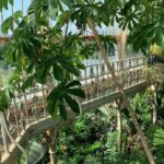 Gustaf Skarsgård Instagram - Tropical London Kew Gardens