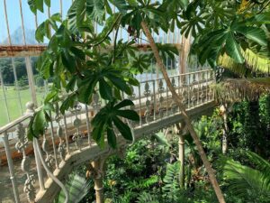 Gustaf Skarsgård Instagram - Tropical London