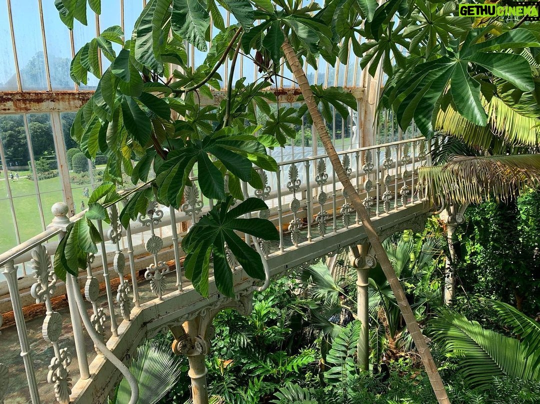 Gustaf Skarsgård - 24.9K Likes - Tropical London