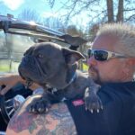 Guy Fieri Instagram - HAPPY BIRTHDAY to my wing man, Smokey’s co conspirator, The hiking machine, Sir snores a lot, Protector of the castle, Tv star, Pig Pig, $$$ CASH $$$ Happy 3rd Birthday