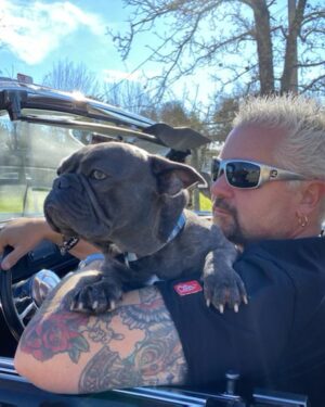 Guy Fieri Instagram - HAPPY BIRTHDAY to 
my wing man,
Smokey’s co conspirator,
The hiking machine,
Sir snores a lot,
Protector of the castle,
Tv star,
Pig Pig,
 
$$$ CASH $$$

Happy 3rd Birthday