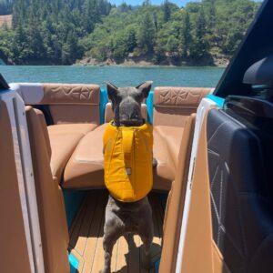Guy Fieri Instagram - Cash the lake dog!!