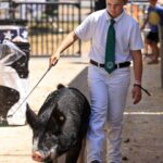 Guy Fieri Instagram - I bought this young man’s hog yesterday at the fair. He is donating the money for cancer research for his brother, Jett. I lost my sister to cancer and I am so proud of Jaxon and his family. We pledge $10,000 in honor of Jaxon and his brother Jett. Sonoma County Fairgrounds