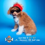 Guy Fieri Instagram – Is it just me, or does this dog resemble someone I know…🔥 
 
Watch Guy Fureri in #PuppyBowl Sunday, Feb 11 at 2p ET/11a PT on @AnimalPlanet! And watch me in Tournament of Champions Sunday, February 18th at 8pm on @FoodNetwork!