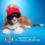 Guy Fieri Instagram – Is it just me, or does this dog resemble someone I know…🔥 
 
Watch Guy Fureri in #PuppyBowl Sunday, Feb 11 at 2p ET/11a PT on @AnimalPlanet! And watch me in Tournament of Champions Sunday, February 18th at 8pm on @FoodNetwork!