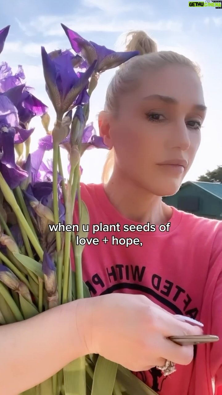 Gwen Stefani Instagram - a little love + hope goes a long way :)🪻gx