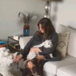 Haala Shiha Instagram - لما تكون مرتاح بتقي سعيد و لا لما بتكون سعيد بتبقي مرتاح 😄😄😄??? امبارح كان يوم سعيد و مرتاح 😁😁 رشا و تشارلي I love you both ♥️ ❤️ 💖 #happy #goodvibes #hala_shiha_new