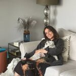 Haala Shiha Instagram - لما تكون مرتاح بتقي سعيد و لا لما بتكون سعيد بتبقي مرتاح 😄😄😄??? امبارح كان يوم سعيد و مرتاح 😁😁 رشا و تشارلي I love you both ♥️ ❤️ 💖 #happy #goodvibes #hala_shiha_new
