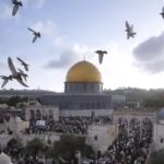 Haala Shiha Instagram - نتنياهو بيقول بيشكر رئيس امريكا الحالي علي مساندته و دعمه للقضية الإسرائيلية ضد الإرهاب الفلسطيني 🤔🤔 . #palestine #القدس_عاصمة_فلسطين #القدس_عربية .