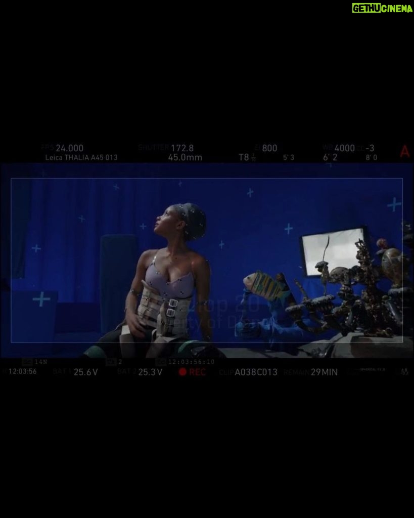 Halle Bailey Instagram - can’t believe it today is the day!! the little mermaid is out everywhere in theaters now 🥹🧜🏽‍♀️💕this was my first time ever doing a film like this, and words can’t describe how immensely grateful i am to have had this experience with such a beautiful group of people …please go watch and enjoy with your loved ones!! 💗more bts pics soon come