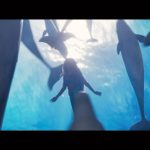 Halle Bailey Instagram - can’t believe we got to debut the full little mermaid trailer at the oscar’s 🥹♥️here it is ✨🧜🏽‍♀️