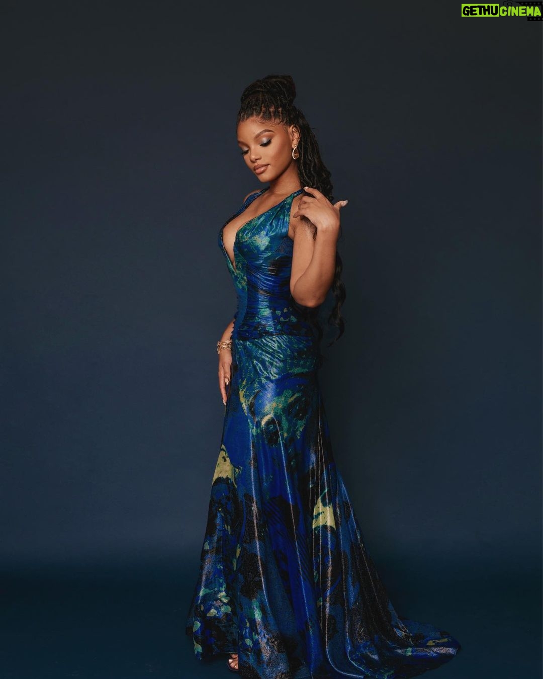 Halle Bailey Instagram - thank you pcas for a beautiful night !! 🧜🏽♀️🌊🐠