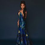 Halle Bailey Instagram - thank you pcas for a beautiful night !! 🧜🏽‍♀️🌊🐠