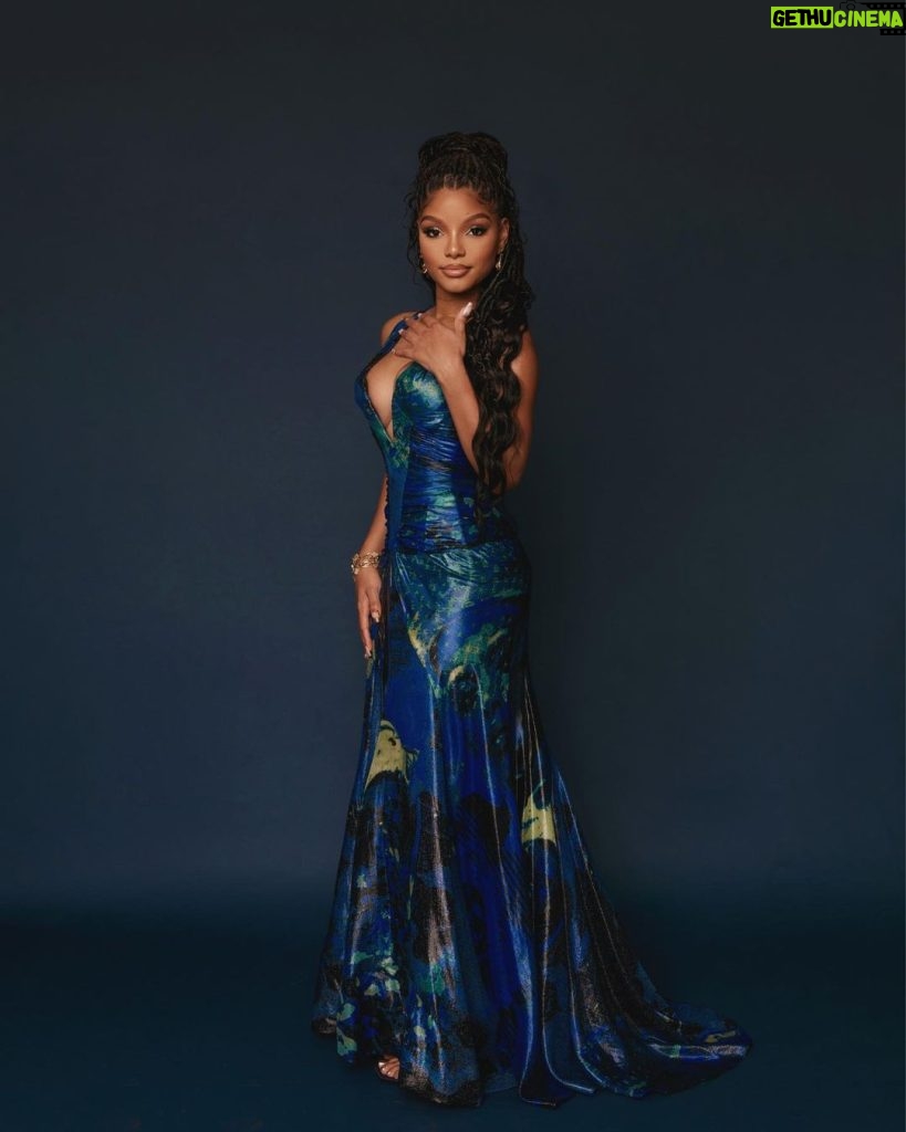 Halle Bailey Instagram - thank you pcas for a beautiful night !! 🧜🏽‍♀️🌊🐠